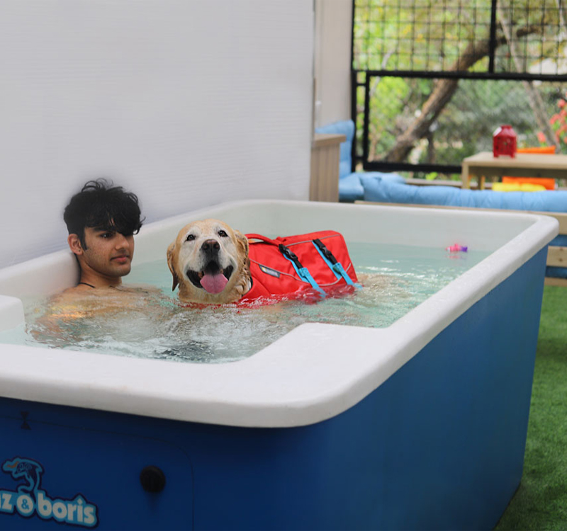 Swimming Pool makers in India